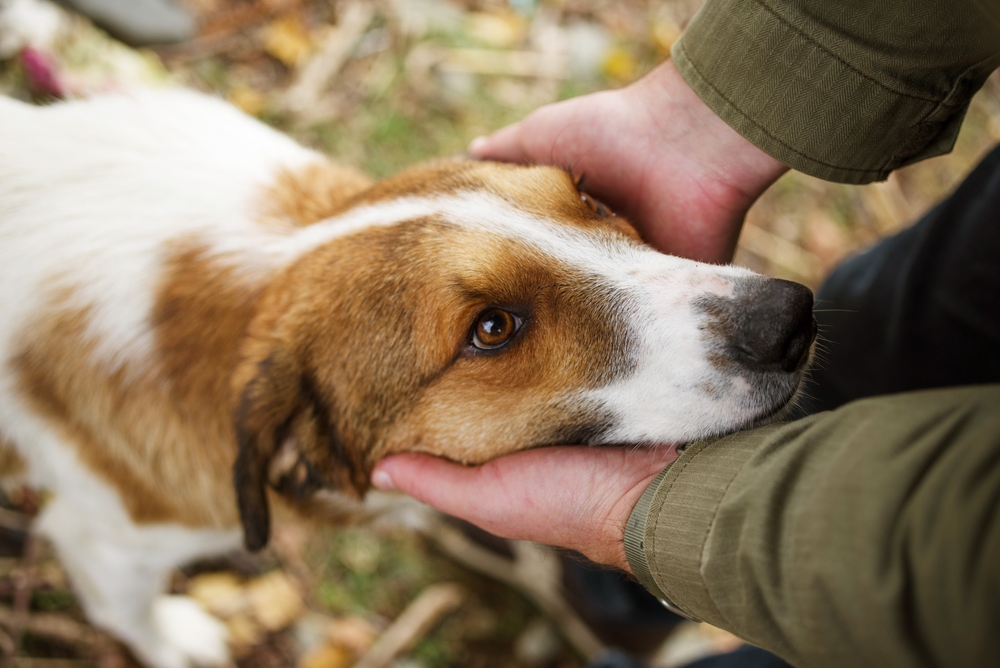 Photography provided by Ed Ransom